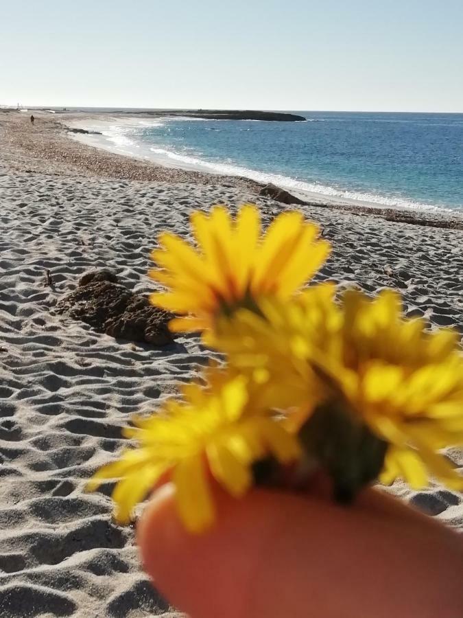 Sardinia For You Oristano Exterior foto
